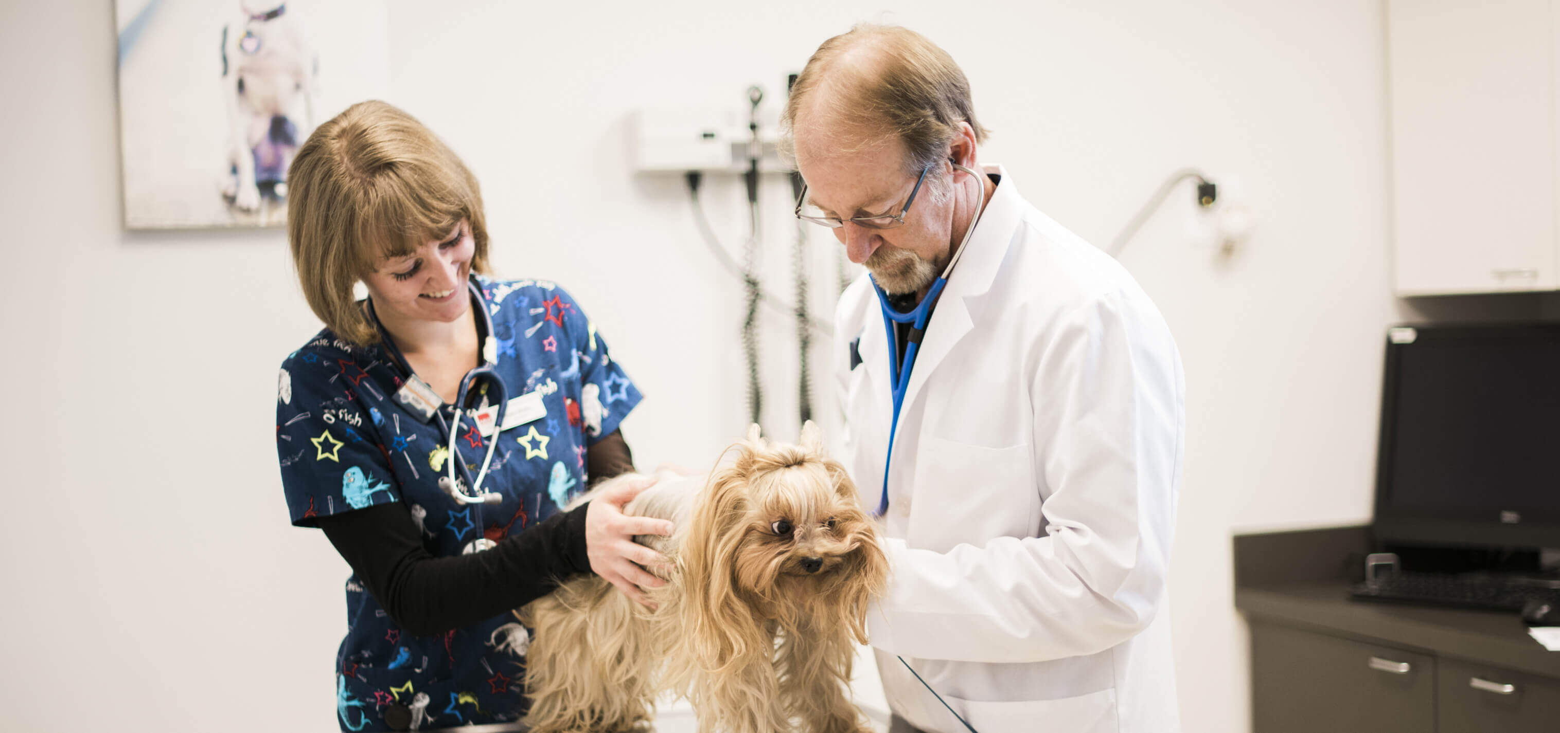 Seven Hills Veterinary Hospital | A practice based on caring