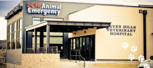seven hills veterinary