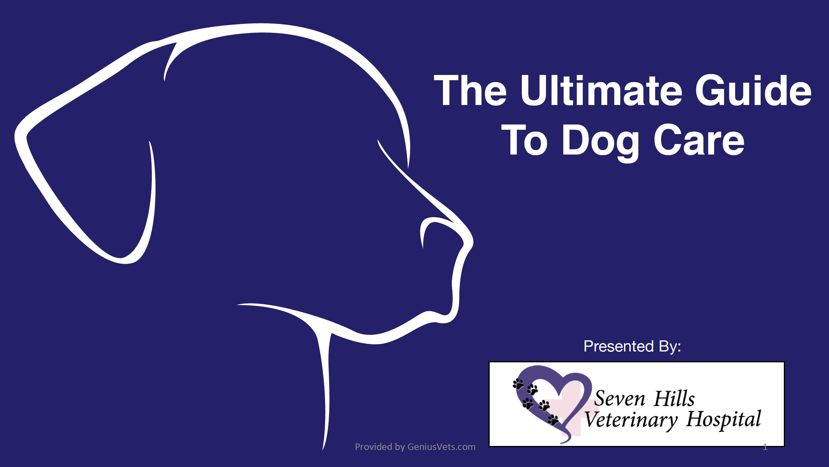 Ultimate Guide To Dog Care