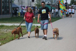 Man and woman walking dogs on leashes.