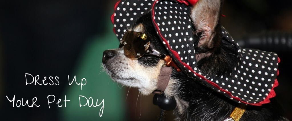 lehenga pattern dress