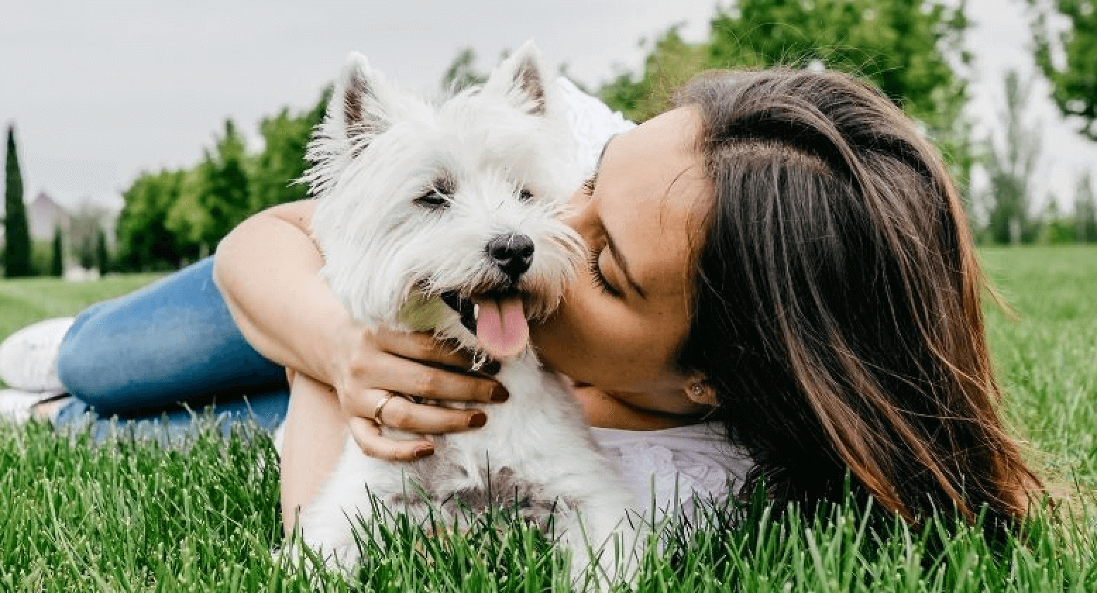 National Dog Mom's Day 10 Ways to Be the Best Dog Mom Possible Seven