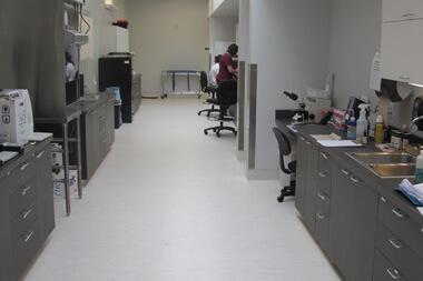 animal clinic