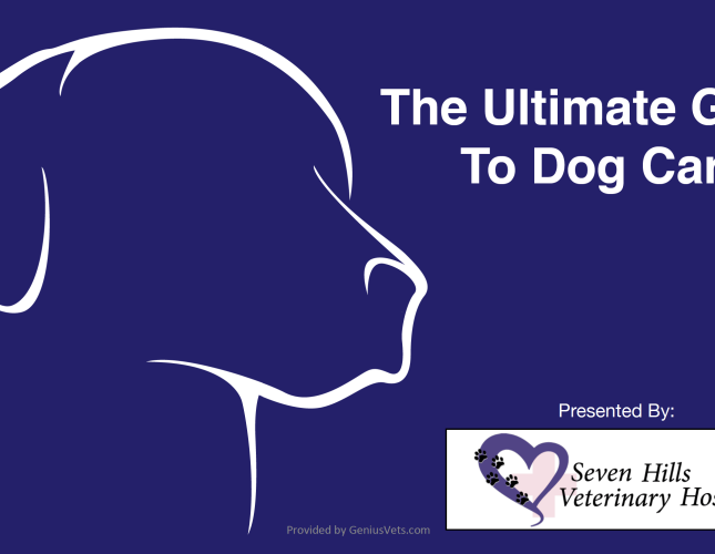 Ultimate Guide To Dog Care