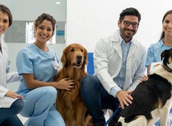 A Veterinarian&#039;s Role In The One Health Perspective