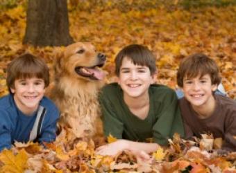 Pet-friendly Thanksgiving: Being Thankful for Your Pets